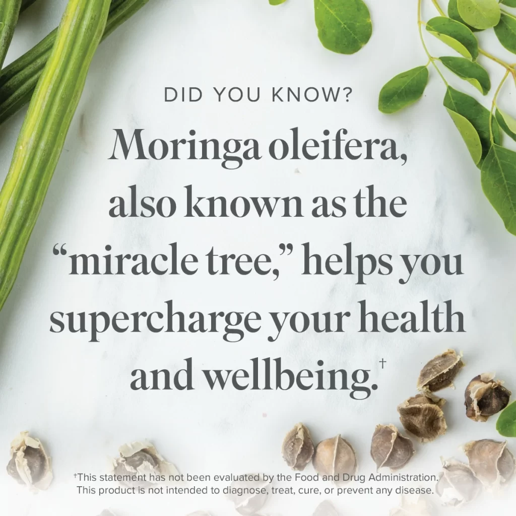 supercharge your health and wellness with moringa oleifera, the miracle tree